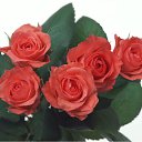 ���� ����� - ���������� ��������!!!, �����������, 56 ��� - ��������� 16 ������ 2010 � ������ ������ۻ