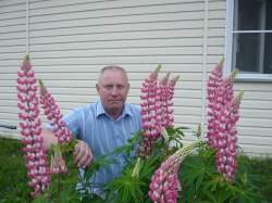 ���������, ����, 68 ���