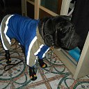 ���� �����, ������, 60 ��� - ��������� 6 ����� 2013 � ������ ���� ����������