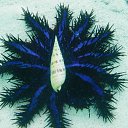 ���� Alexey, ������, 73 ���� - ��������� 20 ������ 2011