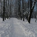  ••,  -  9  2013   RoadKing