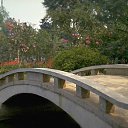 ���� ������, �����, 48 ��� - ��������� 22 ������� 2009