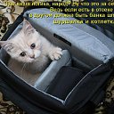 ���� ����, ������, 60 ��� - ��������� 26 �������� 2010 � ������ �������� ������������