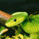 ���� ������, ������� - ��������� 20 ������� 2012 � ������ ������ ��������