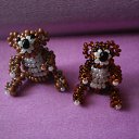 ���� ����, ��������, 36 ��� - ��������� 29 ������� 2011 � ������ ���� ������ �� ������