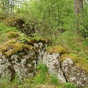  Serzh Van Der Maaremaan,  -  19  2010   ׸ 