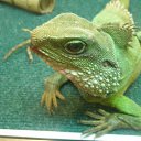    )))), , 47  -  3  2010   