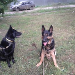 ���� ����, ���������, 59 ��� - ��������� 23 ������� 2011