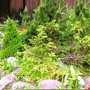 ���� �����, ������, 66 ��� - ��������� 29 ������� 2011