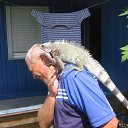  ,  , 61  -  19  2012    