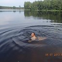 ���� ������, �������, 66 ��� - ��������� 8 ���� 2013 � ������ ���� ����������