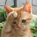 ���� ����� - ���������� ��������!!!, �����������, 56 ��� - ��������� 17 ������� 2010 � ������ �������