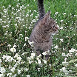 �������