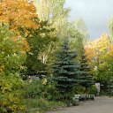 ���� �������, �������, 53 ���� - ��������� 22 ������� 2011 � ������ �������