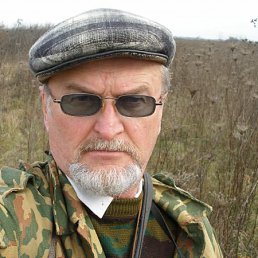 ����, ������, 74 ����