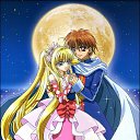 ���� �����, ���� - ��������� 7 ���� 2010 � ������ �������� �������