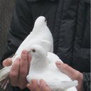 ���� Grigoria, ����, 66 ��� - ��������� 25 ����� 2012 � ������ �C������ !!!�