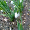 ���� �������., ���������� - ��������� 12 ����� 2012 � ������ �RoadKing�