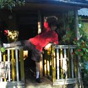  , -, 43  -  26  2011    