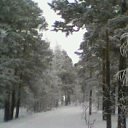 ���� Valerii, �����������, 62 ���� - ��������� 1 ������ 2012 � ������ ���� ����������