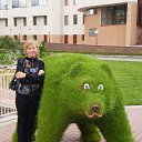 ���� ��������, ����, 53 ���� - ��������� 12 ������� 2012