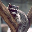 ���� Nika, ���������, 85 ��� - ��������� 10 ������ 2010 � ������ ������ �����!�