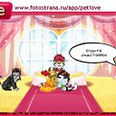  , , 64  -  16  2011   PetLove