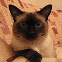 ���� ������, ����������� - ��������� 25 ������ 2011 � ������ ����