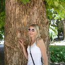 ���� �����, ���������, 41 ��� - ��������� 8 ���� 2013 � ������ ���� ����������