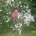 ���� ���, ����������, 61 ��� - ��������� 15 ���� 2012 � ������ ���� ����������