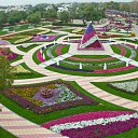 ���� ������ Al Ain Paradis �� ������� �������