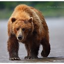 ���� �������, ������, 50 ��� - ��������� 21 ����� 2010 � ������ ������� ��������