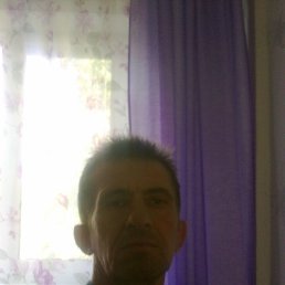 ����, 52 ����, ������������