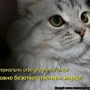 ���� ����, ������, 36 ��� - ��������� 27 ������ 2010 � ������ ������ � ������������