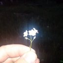 ���� ���������, �����-���������, 36 ��� - ��������� 12 ������� 2012