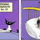 ���� ��������, ������, 35 ��� - ��������� 8 ������ 2011 � ������ ��������� ��������
