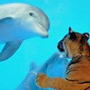 ���� ������, ������� - ��������� 24 ������ 2012 � ������ �������