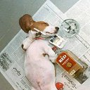 ���� �������, �����������, 32 ���� - ��������� 16 ���� 2011 � ������ ���� ����������