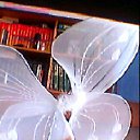 ���� ����, ������, 69 ��� - ��������� 14 ���� 2012 � ������ �������