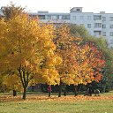 2009 ��� �� ������� ������ � ������