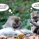 ���� ����, ��� - ��������� 19 ������ 2010 � ������ �������