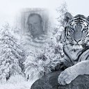 ���� �������, �����, 51 ��� - ��������� 24 ������� 2012 � ������ ���� ����������