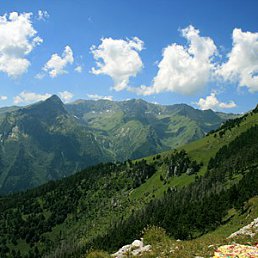 ���� �����, ���������, 43 ���� - ��������� 12 ���� 2013