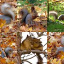    , 
  . 
-    , 
   . 
    
  , 
   
   . 
   . 
, - ... 
 , 
 . 
   , 
   . 
     
   . 
 ,  ... 
,    !   