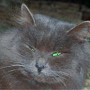  Vlad, , 69  -  12  2012   