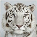 ���� �����, ������, 26 ��� - ��������� 25 ���� 2010 � ������ ���������