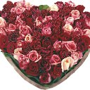 ���� �������, ����, 43 ���� - ��������� 10 ������� 2010