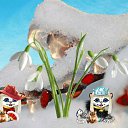 ���� ����� �, ����, 26 ��� - ��������� 7 ������ 2012 � ������ �������