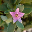 ���� �����, ����������� - ��������� 20 ������� 2011 � ������ ���������