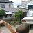 ���� Ladapavlova, �����-���������, 50 ��� - ��������� 18 �������� 2010